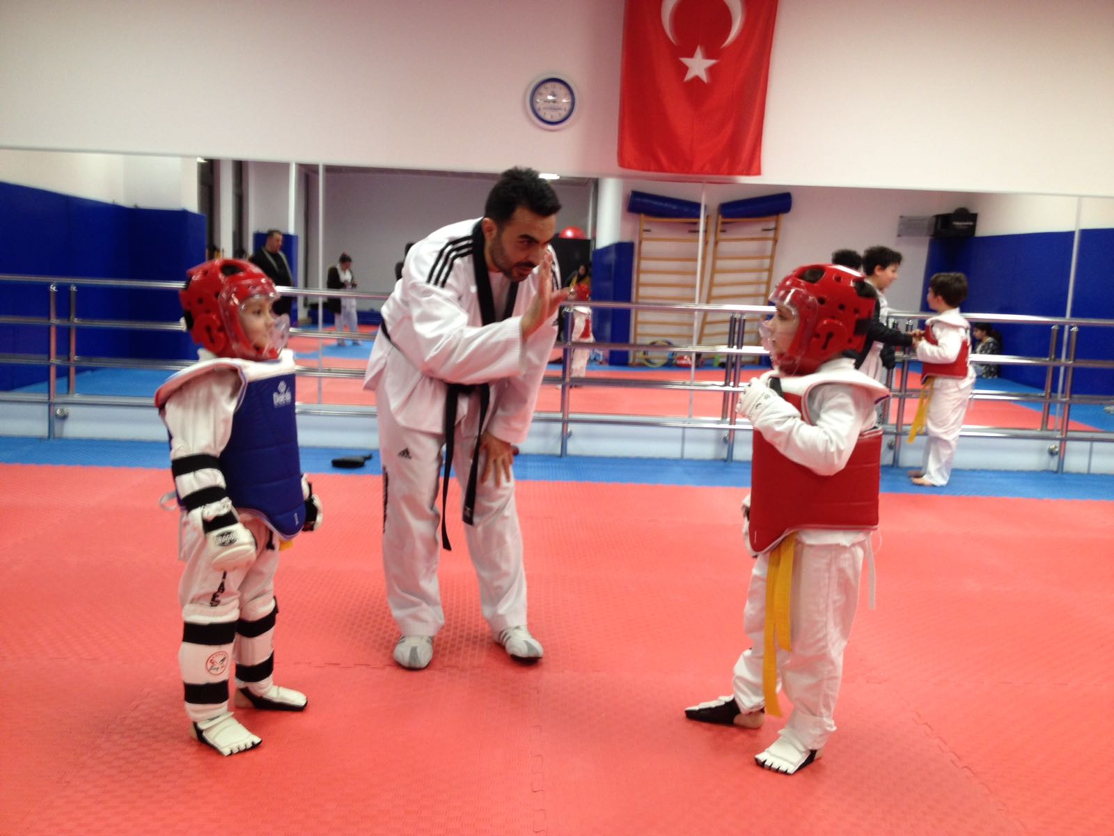 Sporcu Sanat ve Yaşam Taekwondo